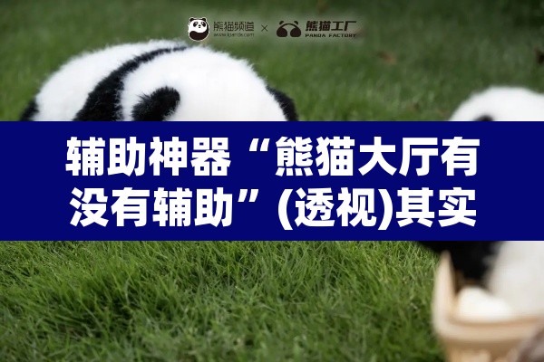 辅助神器“熊猫大厅有没有辅助”(透视)其实确实有挂