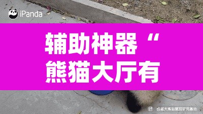 辅助神器“熊猫大厅有没有辅助”(透视)其实确实有挂