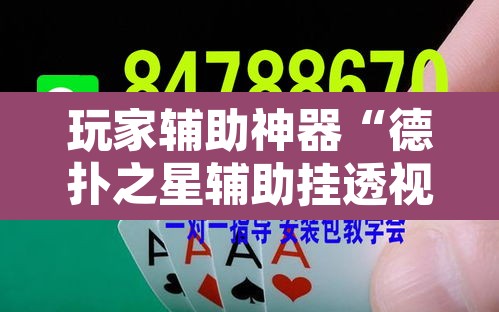 玩家辅助神器“德扑之星辅助挂透视教程”开挂辅助脚本+详细开挂安装教程