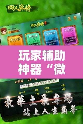 玩家辅助神器“微乐广西麻将开挂神器”开挂辅助脚本+详细开挂安装教程