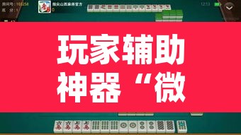 玩家辅助神器“微乐广西麻将开挂神器	”开挂辅助脚本+详细开挂安装教程