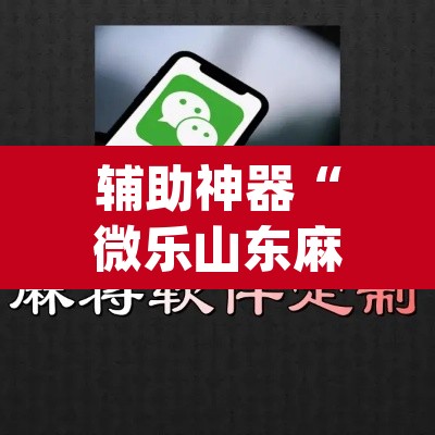辅助神器“微乐山东麻将免费挂”(透视挂)辅助透视教程
