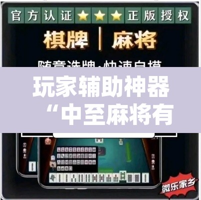 玩家辅助神器“中至麻将有挂的吗”(透视挂)辅助透视教程
