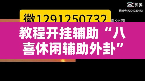 教程开挂辅助“八喜休闲辅助外卦”其实确实有挂