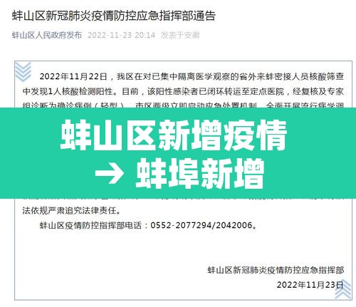 蚌山区新增疫情 → 蚌埠新增