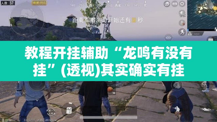 教程开挂辅助“龙鸣有没有挂	”(透视)其实确实有挂