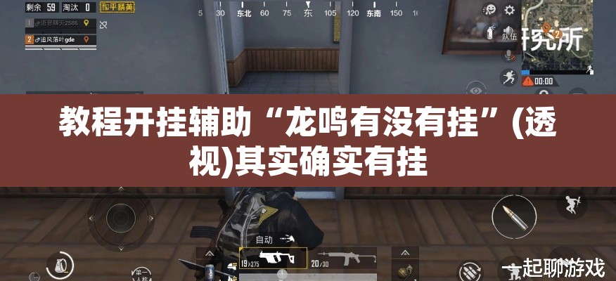 教程开挂辅助“龙鸣有没有挂”(透视)其实确实有挂