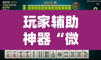 玩家辅助神器“微乐湖南麻将赢牌规律是啥	”(透视)其实确实有挂