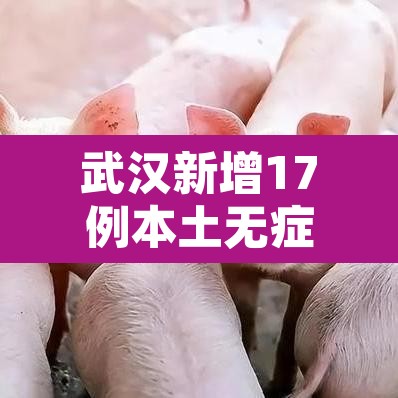 武汉新增17例本土无症状›武汉新增8例无症状感染者 武汉新增17例本土无症状›武汉新增8例无症状感染者