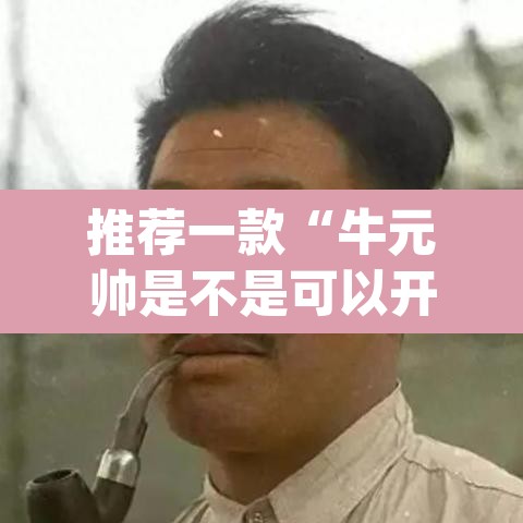 推荐一款“牛元帅是不是可以开挂”(透视)其实确实有挂