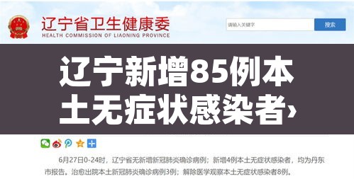 辽宁新增85例本土无症状感染者›辽宁新增一例无症状感染