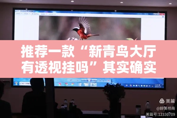 推荐一款“新青鸟大厅有透视挂吗”其实确实有挂