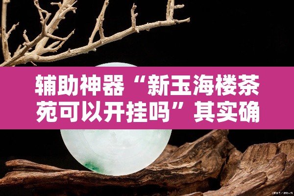 辅助神器“新玉海楼茶苑可以开挂吗”其实确实有挂