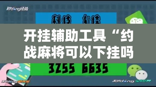 开挂辅助工具“约战麻将可以下挂吗	”(透视)其实确实有挂