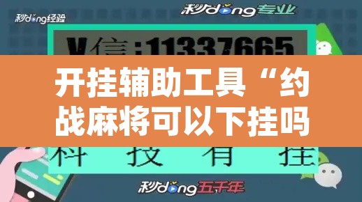 开挂辅助工具“约战麻将可以下挂吗	”(透视)其实确实有挂