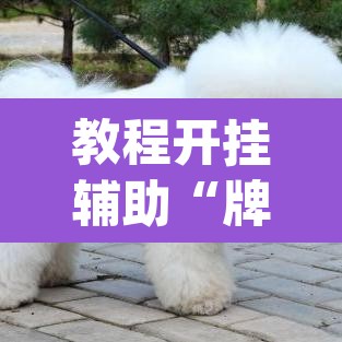 教程开挂辅助“牌友会有没有挂”(透视)其实确实有挂