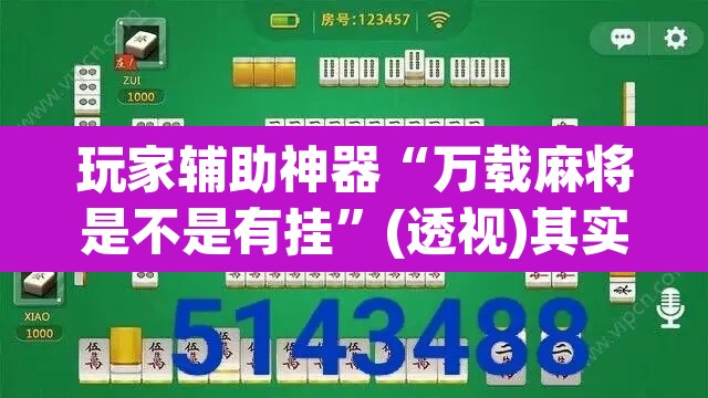 玩家辅助神器“万载麻将是不是有挂”(透视)其实确实有挂