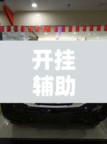 开挂辅助工具“途乐竞技怎么开挂	”其实确实有挂