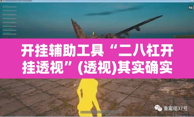 开挂辅助工具“二八杠开挂透视”(透视)其实确实有挂