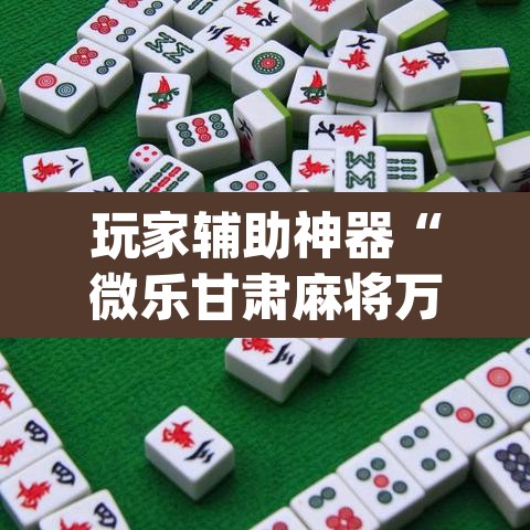 玩家辅助神器“微乐甘肃麻将万能开挂器	”(透视挂)辅助透视教程
