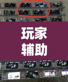 玩家辅助神器“新百道能不能开挂”(透视挂)辅助透视教程