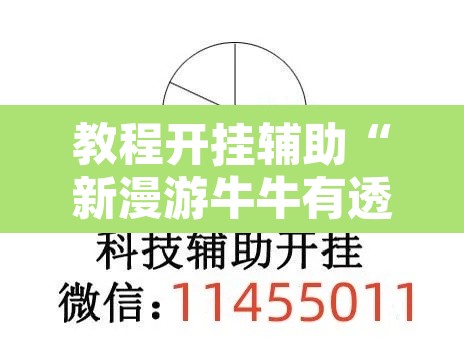 教程开挂辅助“新漫游牛牛有透视软件吗”其实确实有挂