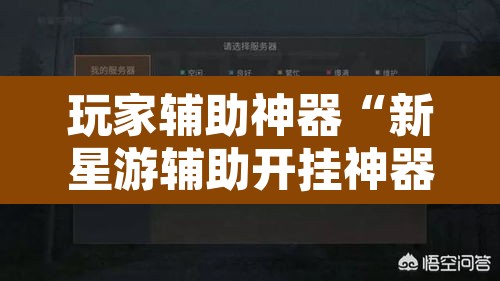 玩家辅助神器“新星游辅助开挂神器	”其实确实有挂