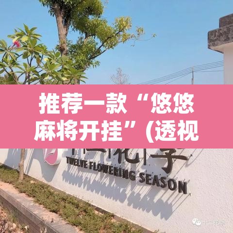 推荐一款“悠悠麻将开挂”(透视)其实确实有挂