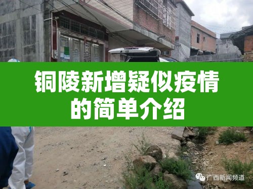 铜陵新增疑似疫情的简单介绍