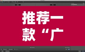 推荐一款“广西八一字牌透视软件”(透视)其实确实有挂