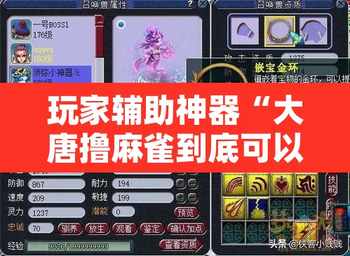 玩家辅助神器“大唐撸麻雀到底可以开挂吗”其实确实有挂