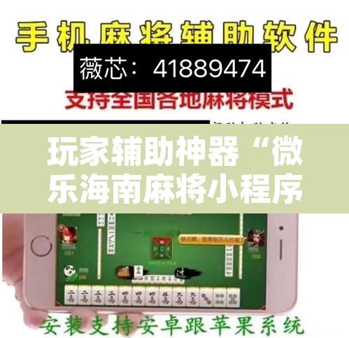 玩家辅助神器“微乐海南麻将小程序怎么开挂”其实确实有挂