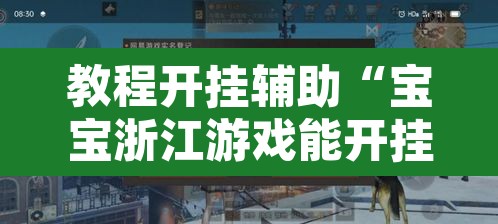 教程开挂辅助“宝宝浙江游戏能开挂吗”其实确实有挂