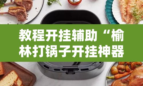 教程开挂辅助“榆林打锅子开挂神器下载”(透视)其实确实有挂