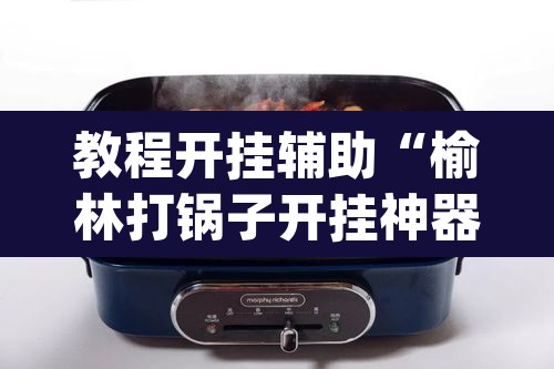 教程开挂辅助“榆林打锅子开挂神器下载”(透视)其实确实有挂