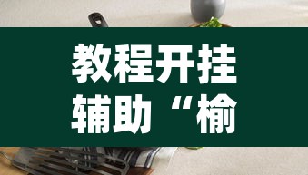 教程开挂辅助“榆林打锅子开挂神器下载	”(透视)其实确实有挂