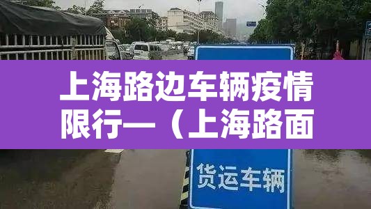上海路边车辆疫情限行—（上海路面限行吗）