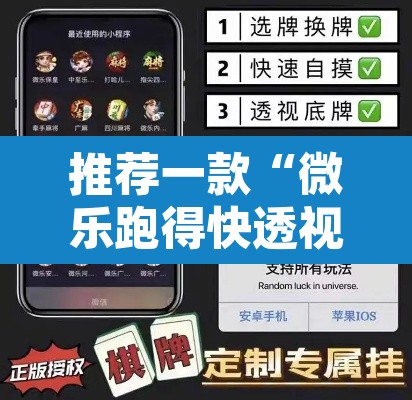 推荐一款“微乐跑得快透视软件”其实确实有挂