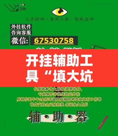 开挂辅助工具“填大坑万能开挂器”其实确实有挂