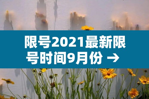 限号2021最新限号时间9月份 → 限号2021最新限号时间9月份是几点