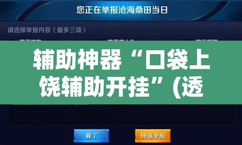 辅助神器“口袋上饶辅助开挂”(透视)其实确实有挂