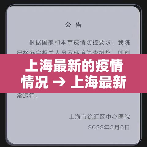 上海最新的疫情情况 → 上海最新的疫情情况如何