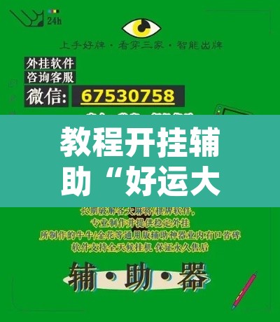 教程开挂辅助“好运大菠萝辅助软件”(透视挂)辅助透视教程