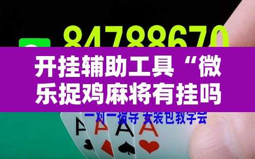 开挂辅助工具“微乐捉鸡麻将有挂吗”其实确实有挂