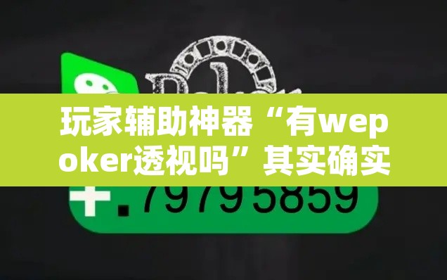 玩家辅助神器“有wepoker透视吗”其实确实有挂
