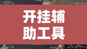 开挂辅助工具“方片十三张真的有挂吗	”其实确实有挂