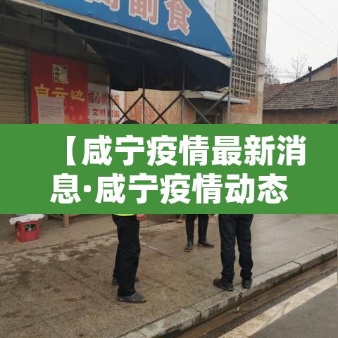 【咸宁疫情最新消息·咸宁疫情动态】 【咸宁疫情最新消息·咸宁疫情动态】