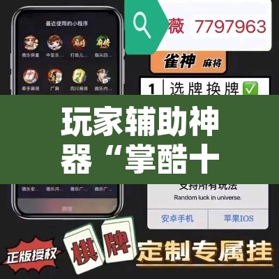 玩家辅助神器“掌酷十三张辅助”开挂辅助脚本+详细开挂安装教程