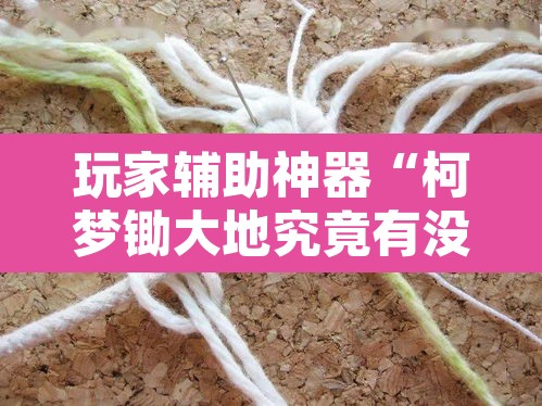 玩家辅助神器“柯梦锄大地究竟有没有挂”其实确实有挂