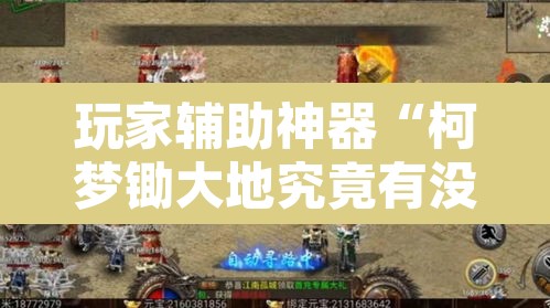 玩家辅助神器“柯梦锄大地究竟有没有挂”其实确实有挂